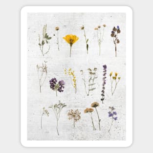 Dried Flower Collage Sticker